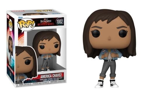 1002 AMERICA CHAVEZ